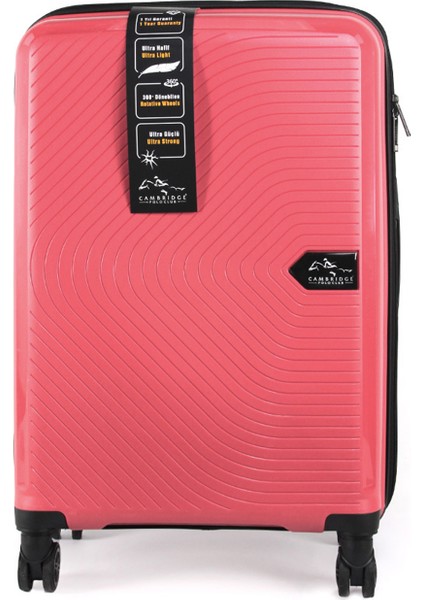 PP MADRİD 191039-GÜL KURUSU 057 modelleri