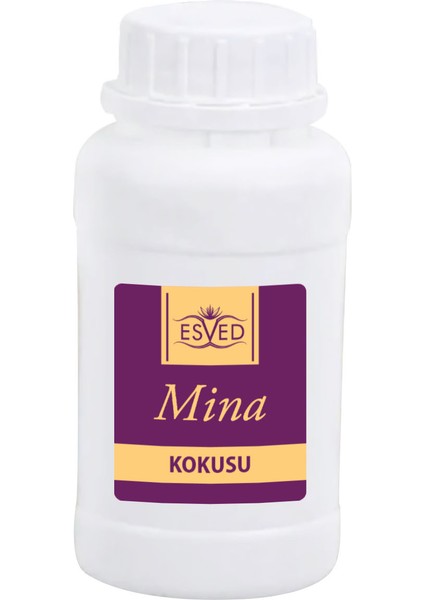 Mina Kokusu Çubuklu Koku Bambu Kokusu Yedek Dolum Şişesi 100ML