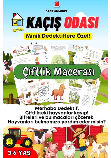 Kayıp Hayvanlar Nerede? /şifreleri Çözme /bilmeceleri Çözme /dedektif Oyunu / Eğitici Oyun / 3-6 Yaş