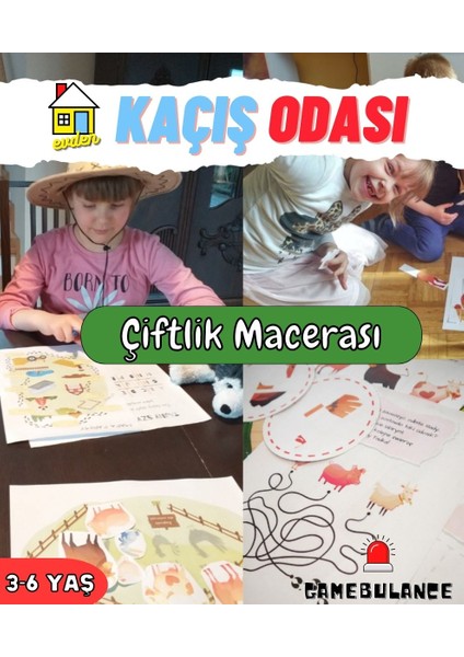 Kayıp Hayvanlar Nerede? /şifreleri Çözme /bilmeceleri Çözme /dedektif Oyunu / Eğitici Oyun / 3-6 Yaş