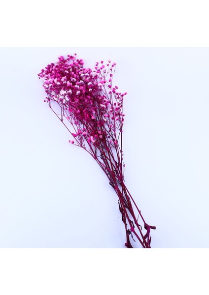 Kuru Çiçek Doğal Kurutulmuş Çiçek Doğal Cipso 40 cm 20 gr Pembe