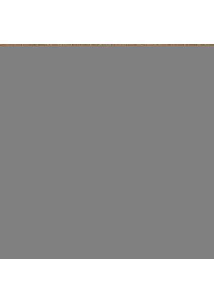 Atina Okulu- Sanat Eseri Polar Tv Battaniyesi