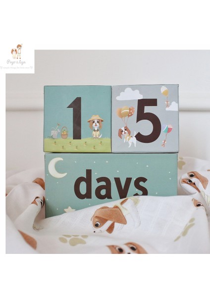 ve Baby Tales Anı Küpleri