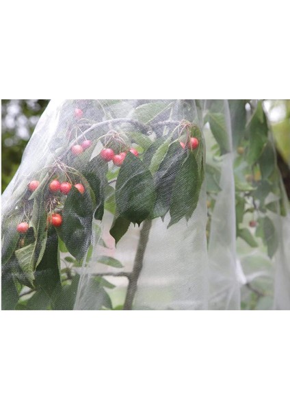 Sinek Tülü 3X200 Metre Insekt Tül Tuta Tülü 40 Mesh Sera Sinek Tülü indirimleri