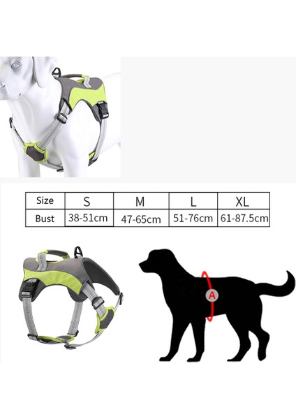 Köpek Tasması - Mavi (Yurt Dışından)