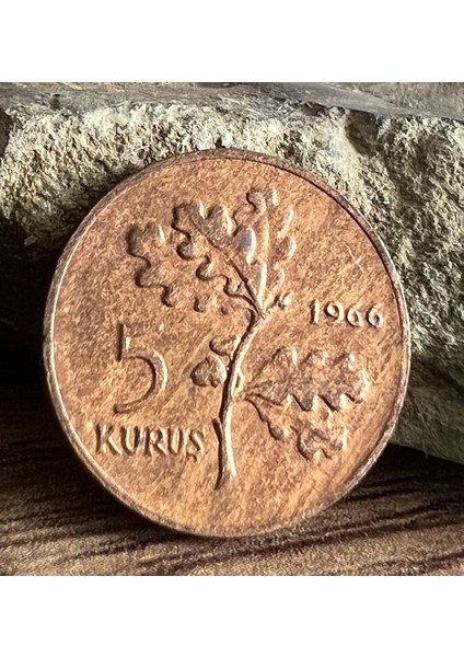 1966 Yılı 5 Kuruş Bronz Çil