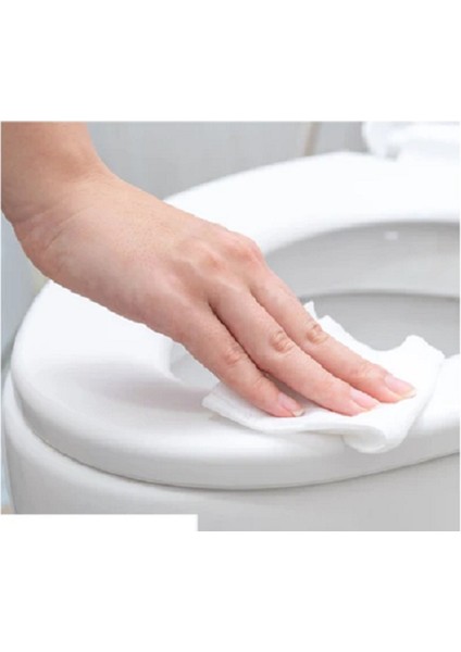 Wc Tuvalet, Klozet ve Pisuvar Temizleyici, Kıvamlı 1000 Gr.
