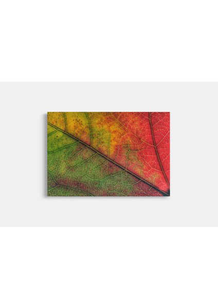 Sonbaharda Bir Yaprak Gövdesi Dekoratif Kanvas Tablo