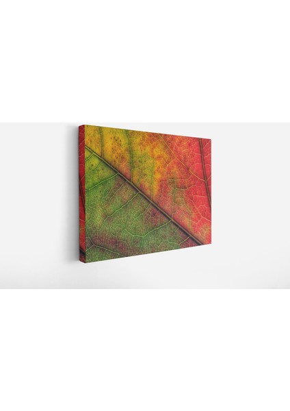 Sonbaharda Bir Yaprak Gövdesi Dekoratif Kanvas Tablo fiyatları