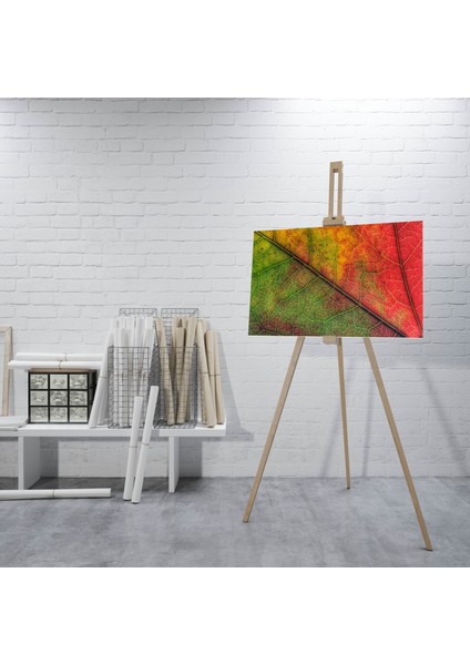 Sonbaharda Bir Yaprak Gövdesi Dekoratif Kanvas Tablo fırsatları