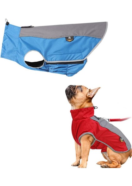 Pet Rashers Blue-L (Yurt Dışından) indirimleri