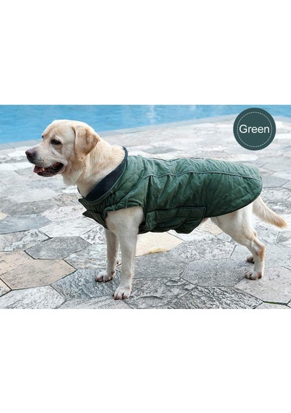 Pet Retro Kostüm Yeşil-Xs (Yurt Dışından) fiyatları