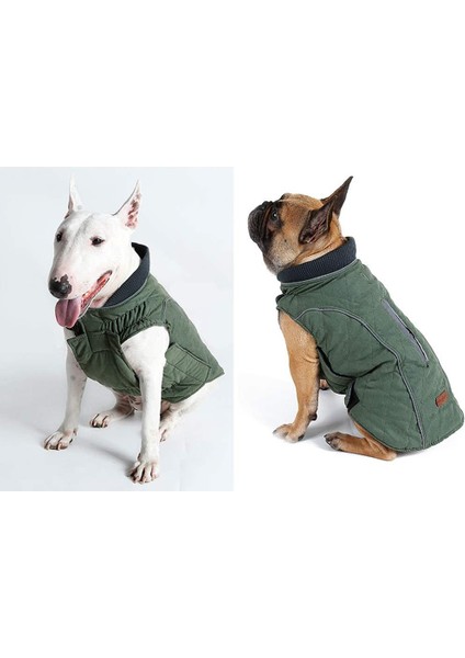 Pet Retro Kostüm Yeşil-Xs (Yurt Dışından) modelleri