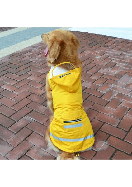 Mackintosh Double Pet Yellow-4xl (Yurt Dışından) indirimleri