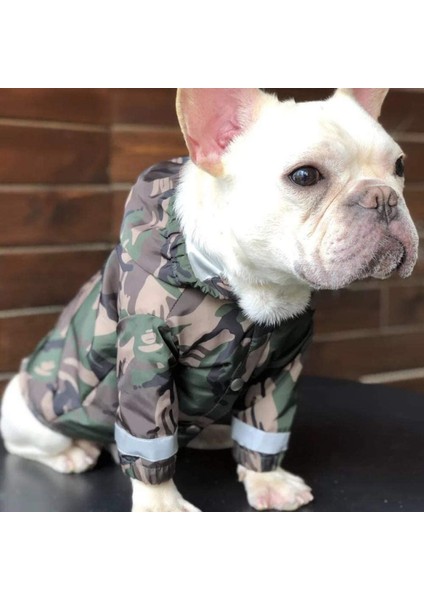 Köpek Yağmurluğu Yeşil-S (Yurt Dışından) fiyatları