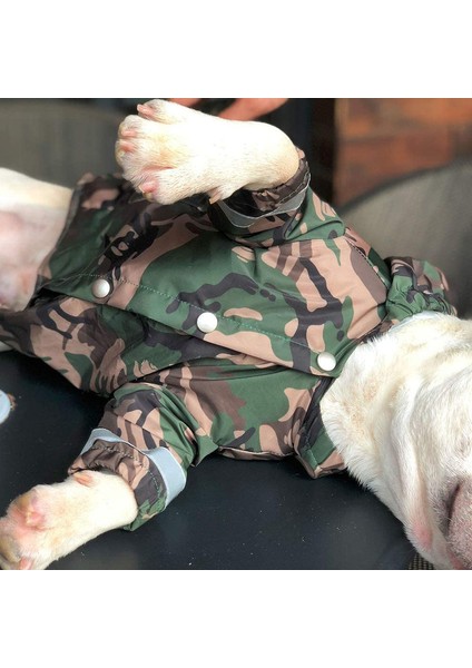 Köpek Yağmurluğu Yeşil-S (Yurt Dışından) indirimleri