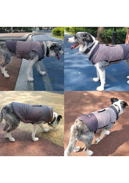 Çift Taraflı Pet Yellow-M Pamuklu Ceket (Yurt Dışından) modelleri