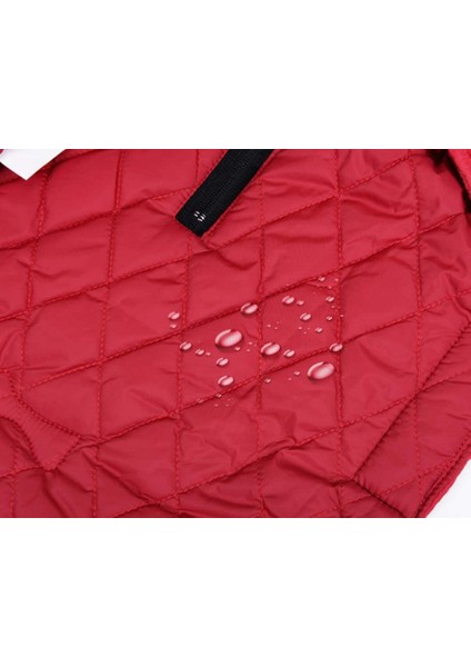 Çift Taraflı Pet Red-Xl Pamuklu Ceket (Yurt Dışından) modelleri