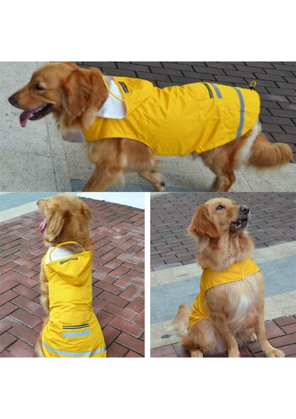 Mackintosh Double Pet Yellow-3xl (Yurt Dışından) modelleri