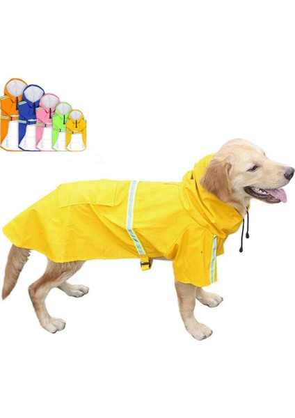 Pet Panço Sarı-2xl (Yurt Dışından)