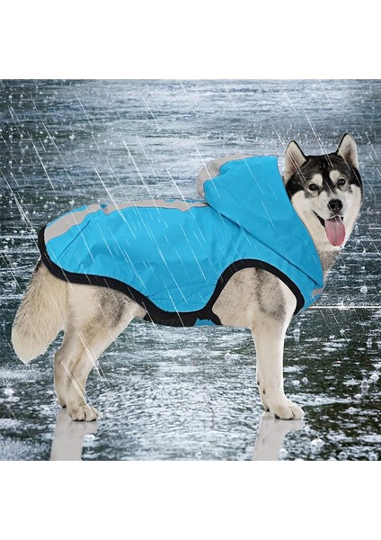 Pet Giyim Blue-S (Yurt Dışından)