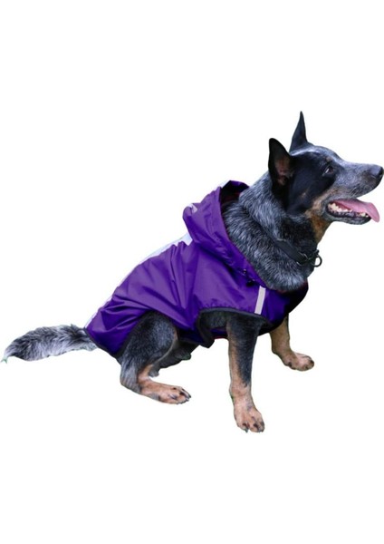 Köpek Mor Yağmurluk S (Yurt Dışından)