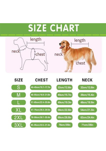 Köpek Mor Yağmurluk S (Yurt Dışından) fiyatları