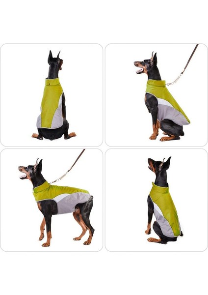 Sonbahar ve Kış Köpek Palto Yeşil-Xs (Yurt Dışından) fırsatları