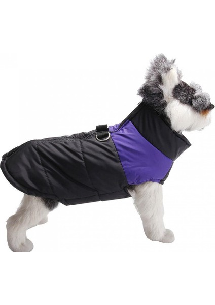 Hayvan Paltosu Mor-S (Yurt Dışından) fırsatları
