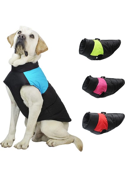 Kış Köpek Sol (Yurt Dışından)