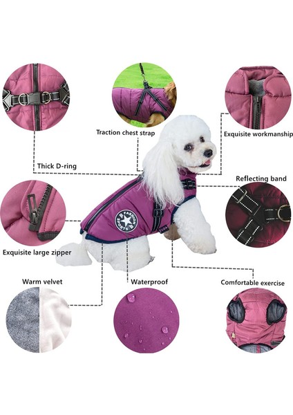 Hayvan Ceketi Kırmızı-S (Yurt Dışından) modelleri