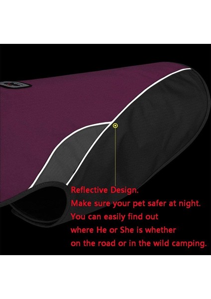 Sonbahar ve Kış Köpek Paltosu Rose-Xs (Yurt Dışından) fiyatları