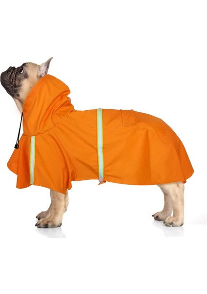 Pet Panço Orange-L (Yurt Dışından)