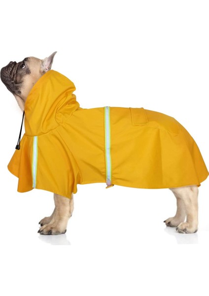 Pet Panço Sarı-M (Yurt Dışından)