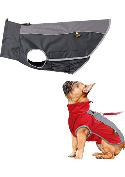 Pet Rashers Black-Xl (Yurt Dışından)