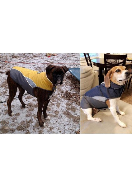 Sonbahar ve Kış Köpek Palto Sarı-L (Yurt Dışından) fiyatları