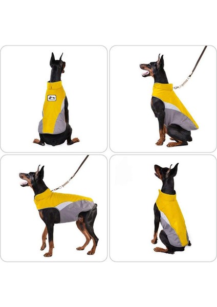 Sonbahar ve Kış Köpek Palto Sarı-L (Yurt Dışından) fırsatları