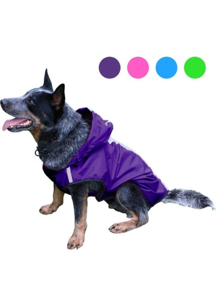 Köpek Mor Yağmurluk Sol (Yurt Dışından) indirimleri