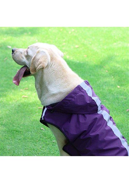 Köpek Mor Yağmurluk (3xl (Yurt Dışından) modelleri