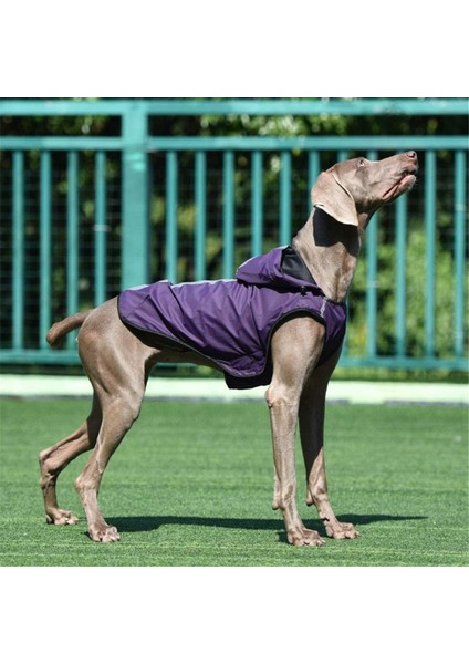 Köpek Mor Yağmurluk (3xl (Yurt Dışından) fırsatları