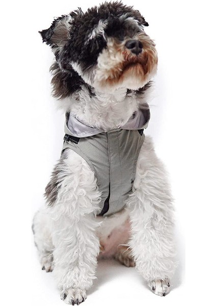 Yağmurluk Gri-Xl (Yurt Dışından) indirimleri