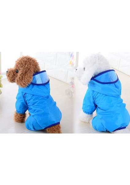 Mackintosh Oyuncak Ayı Mavi-Xs (Yurt Dışından) fırsatları