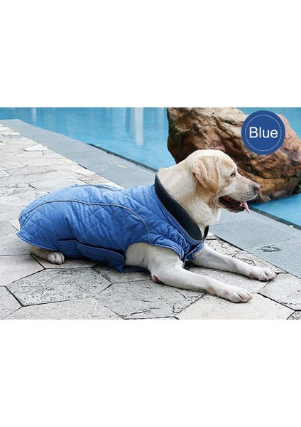 Pet Retro Kostüm Mavi-Xs (Yurt Dışından) fırsatları