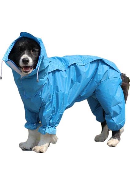 Dog Full Wrap Mackintosh Blue-22 # (Yurt Dışından)