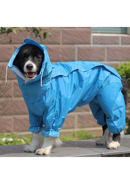 Dog Full Wrap Mackintosh Blue-22 # (Yurt Dışından) indirimleri