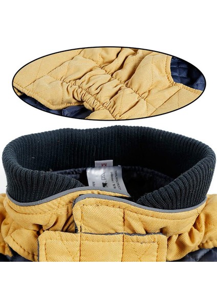 Pet Retro Kostüm Blue-2xl (Yurt Dışından) modelleri