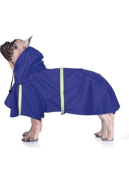 Pet Panço Blue-M (Yurt Dışından)