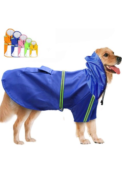 Pet Panço Blue-2xl (Yurt Dışından)