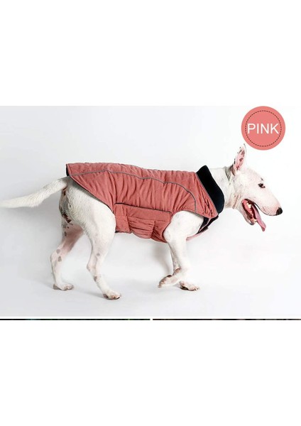 Pet Retro Kostüm Pink-Xl (Yurt Dışından) fırsatları