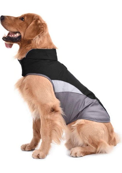 Sonbahar ve Kış Köpek Ceket Siyah-S (Yurt Dışından) fırsatları